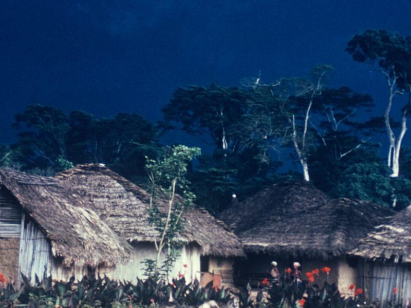 Where is the&nbsp;Peace?