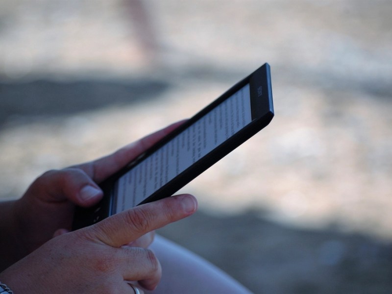 ‘Pink Flamingos’ Now an&nbsp;eBook