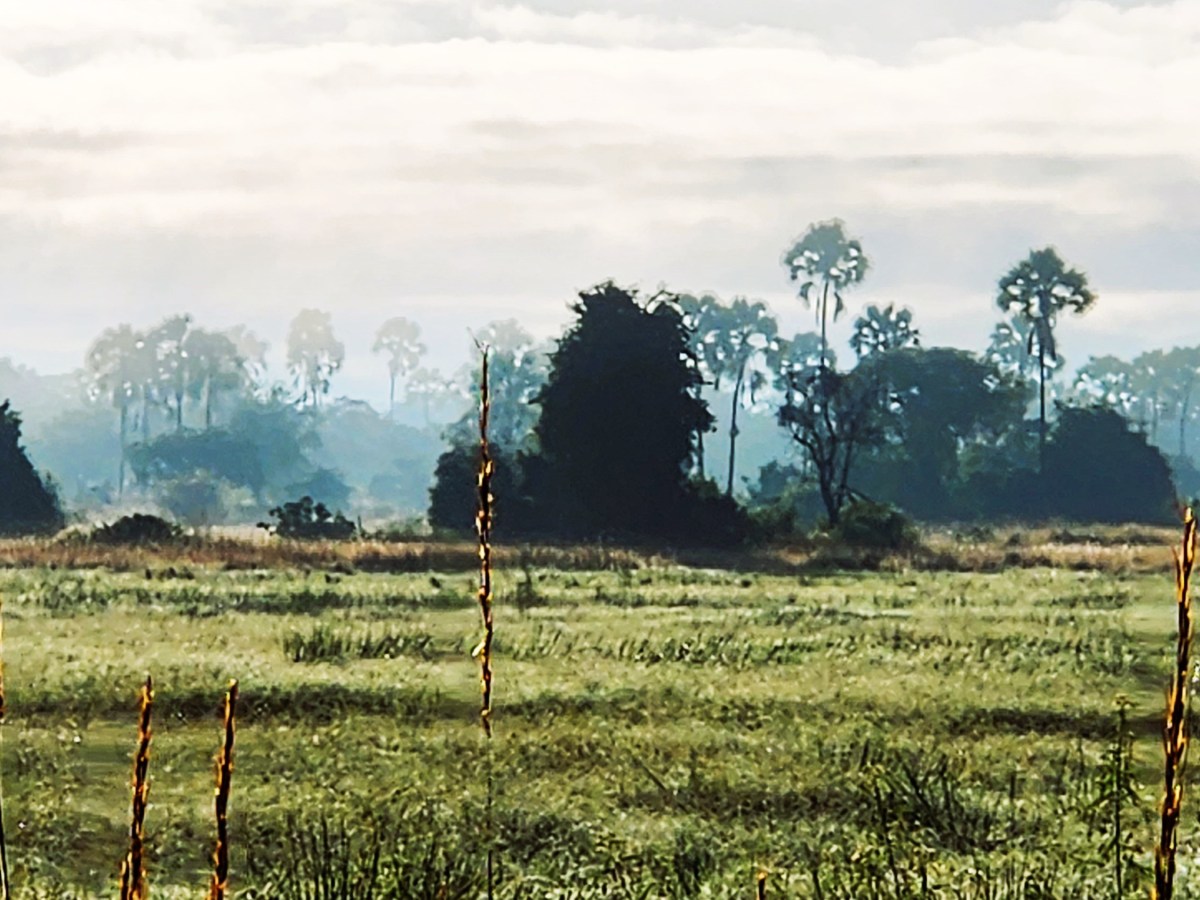 Africa 50 Years Later: Part II, Zimbabwe, Zambia, &&nbsp;Botswana