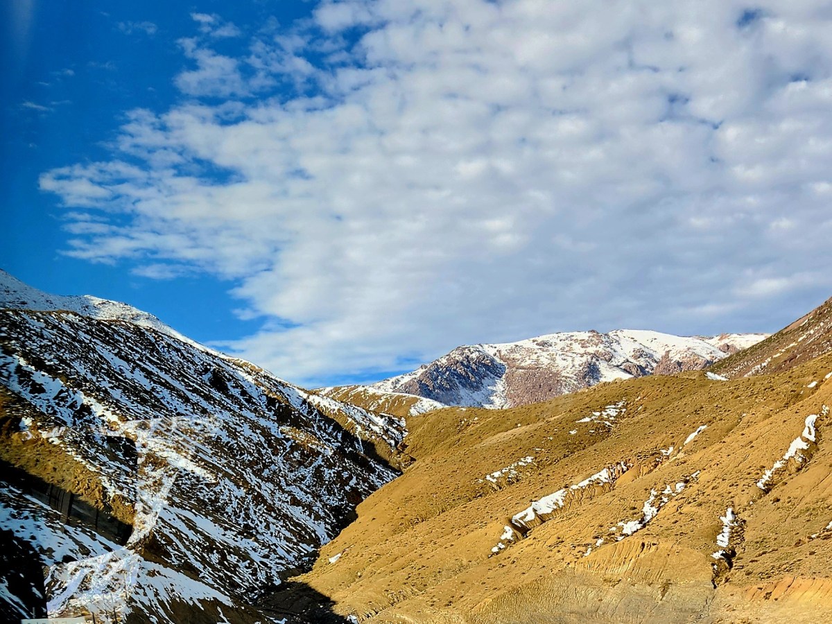 Moroccan Sheep Migration: A Nomadic&nbsp;Tradition